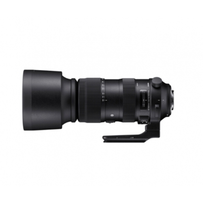 适马(sigma) 60-600mm F4.5-6.3 DG Sports 全幅超长焦